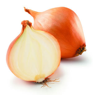 Australian Brown Onion - Allium Cepa - Vegetable - 200 Seeds