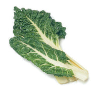 Lucullus Swiss Chard - Beta Vulgaris - Vegetable - 60 Seeds