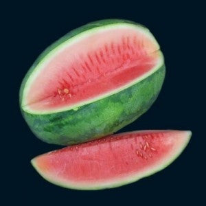 Congo Watermelon - Citrullus Lanatus - Fruit - 10 Seeds