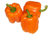 Orange Sun Sweet Bell Pepper - Heirloom Vegetable - 10 Seeds