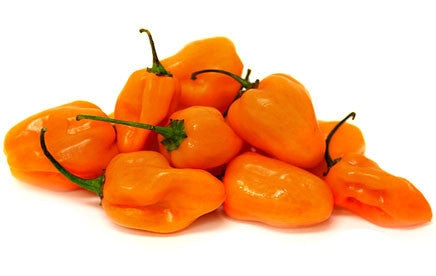 Orange Habanero Chilli Pepper - ORGANIC - Heirloom Vegetable - 20 Seeds