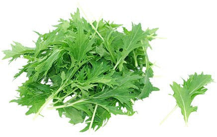 Mizuna Mustard Greens - ORGANIC - Heirloom Vegetable - 200 Seeds