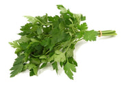 Flat Leaf Parsley - ORGANIC - Herb - 150 Seeds