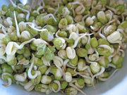 Mung Beans - ORGANIC - Sprouting Seeds