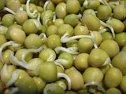Green Peas - Sprouting / Microgreen Seeds