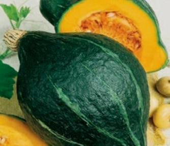 Green Hubbard / Chicago Warted Squash - Bulk Vegetable Seeds - 100 grams