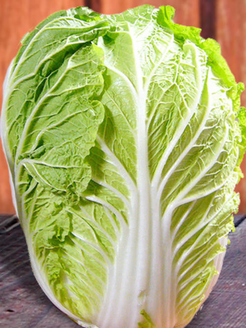 Chichilli Chinese Cabbage - Bulk Vegetable Seeds - 200 grams
