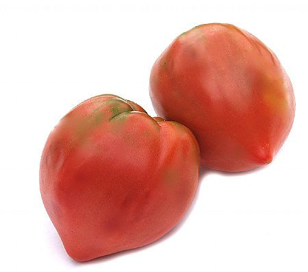 Ox Heart Tomato - Bulk Vegetable Seeds - 10 grams