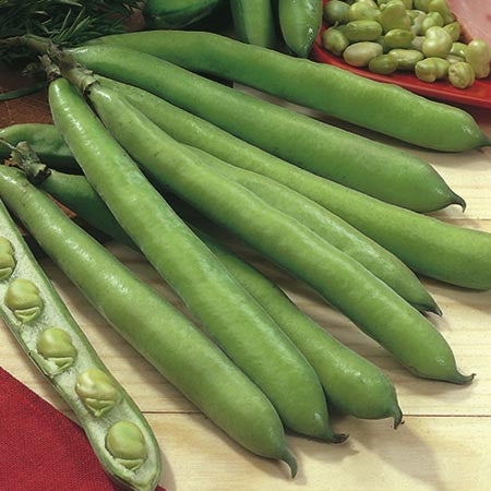 Aquadulce Broad Beans - Bulk Vegetable Seeds