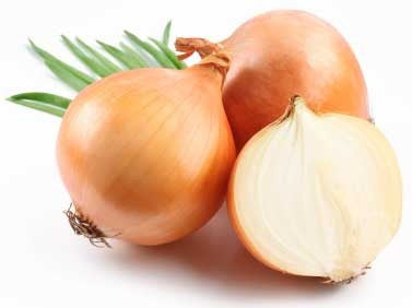 Australian Brown Onion - Bulk Vegetable Seeds - 50 grams