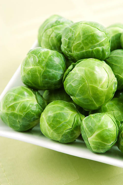 Long Island Brussel Sprouts - Bulk Vegetable Seeds - 50 grams
