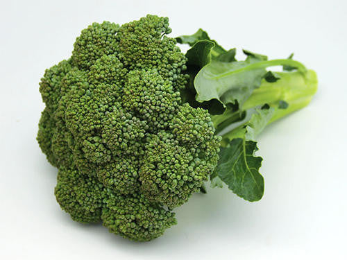 Calabrese Broccoli Seeds | Seeds for Africa