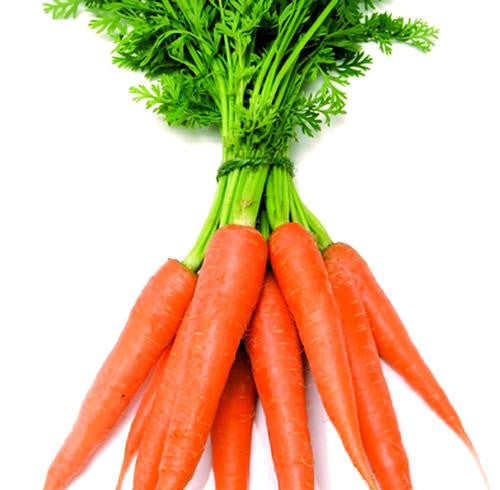 Cape Market Carrot - Bulk Vegetable Seeds - 100 grams