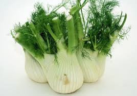 Sweet Florence Fennel - Bulk Herb Seeds - 50 grams