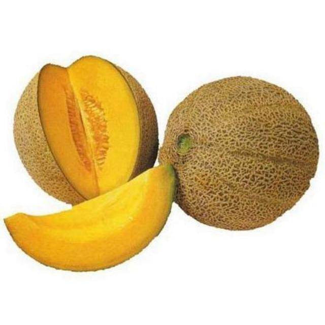 Hales Best Melon Spanspek - Bulk Fruit Seeds - 50 grams