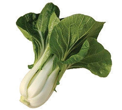 White Stemmed Chinese Pak Choy - Bulk Vegetable Seeds - 50 grams