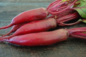 Cylindra Beetroot - ORGANIC - Heirloom Vegetable - 50 Seeds