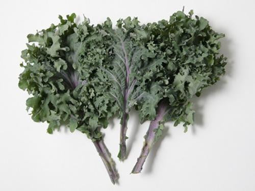 Red Russian Kale - ORGANIC - Heirloom Vegetable - 50 Seeds