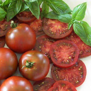 Black Prince Tomato - ORGANIC - Heirloom Vegetable - 10 Seeds