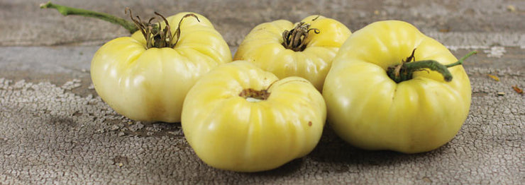 White Wonder Beefsteak Tomato - ORGANIC - Heirloom Vegetable - 10 Seeds