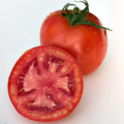 Floradade Tomato - ORGANIC - Heirloom Vegetable - 20 Seeds