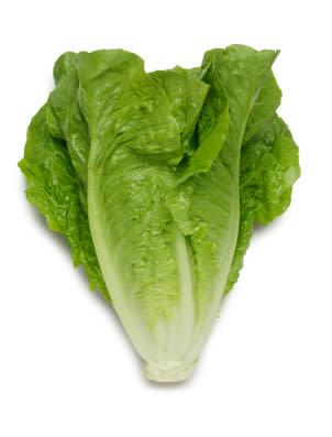 St Blaise Cos Lettuce - Lactuca sativa - Organic Heirloom Vegetable - 100 seeds