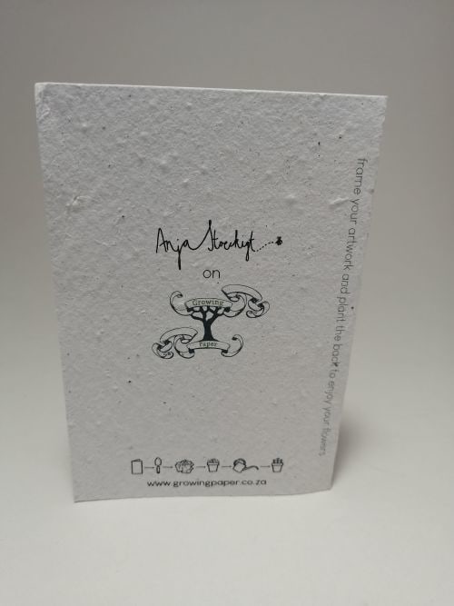 Growing Paper - Greeting Card - Croc