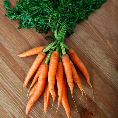 Amsterdam Baby Carrot - Tender juicy baby carrots - 150 seeds