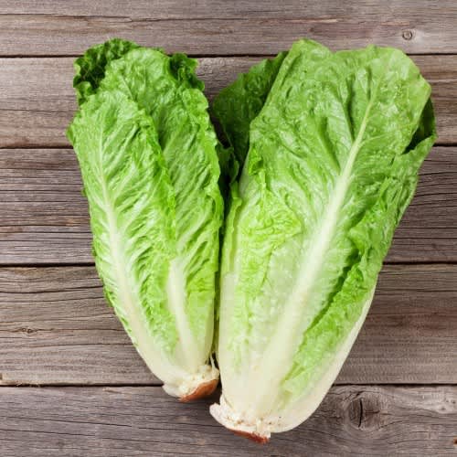 Lettuce Paris White - A reliable heavy yielding Cos / Romaine Lettuce. - 150 seeds