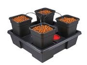 Wilma Hydroponic System - With Pots, Tray & Kit Box