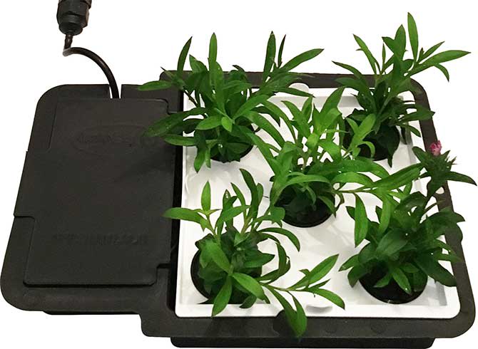 Autopot AQUAplate - Hydroponic Systems