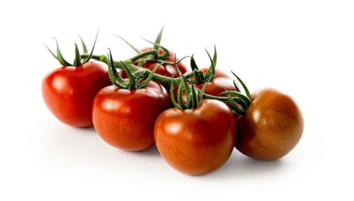 Chocolate Brown Tomato - Vegetable - Lycopersicon esculentum - 5 Seeds