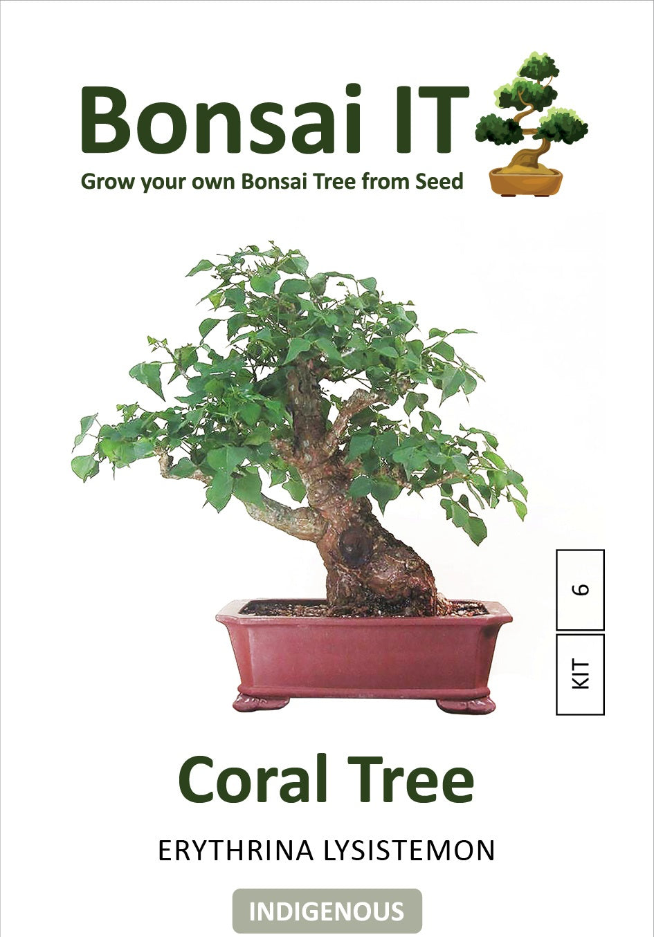 Bonsai IT - Coral Tree - Erythrina lysistemon