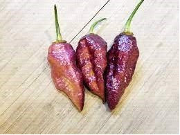 BBG7 Dream 7 Pod Bubblegum - Chilli Pepper - Capsicum Chinense - 5 seeds