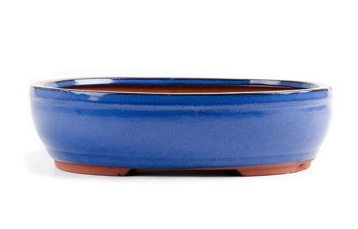 Blue Ceramic Bonsai Pot - Oval 20