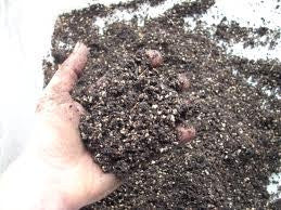 Specially Formulated Bonsai Soil