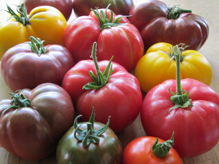Tomato Collectors Pack - 12 Varieties - 240 Fresh Seeds - Incl Heirloom, Open Pollinated & Organic
