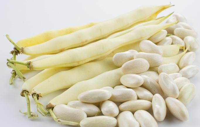 Cannolini Pole Runner Beans - Phaseolus - Heirloom Vegetable - 10 Seeds
