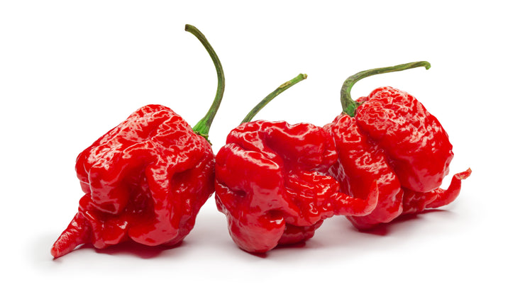 Carolina Reaper Pepper - Capsicum Chinense - The worlds HOTTEST Chilli Pepper - Seeds