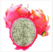 White Flesh Pitaya / Dragon Fruit - "L.A Woman" - Hylocereus undatus - Exotic Succulent Fruit - 10 Seeds