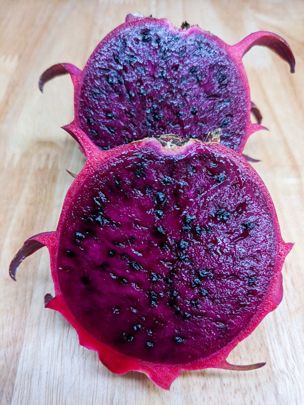 Red Flesh Pitaya "Red Jaina" - Dragon Fruit - Hylocereus polyrhizus - Exotic Succulent Fruit - 10 Seeds