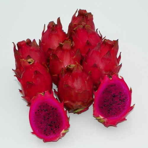 Red Flesh Pitaya "Voodoo Child" - Dragon Fruit - Hylocereus guatamalensis X - Exotic Succulent Fruit - 10 Seeds