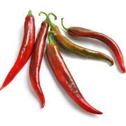 Guajillo Chilli Pepper - Capsicum Annuum - 10 Seeds