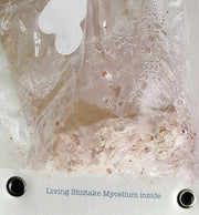 Because Nature Mycelium CO2 Generator - Hydroponic Additives