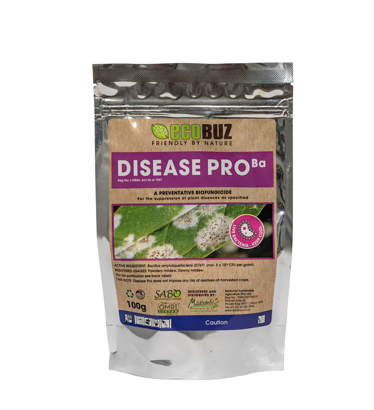 EcoBuz Disease Pro 100g - Hydroponic & Soil Plant Care