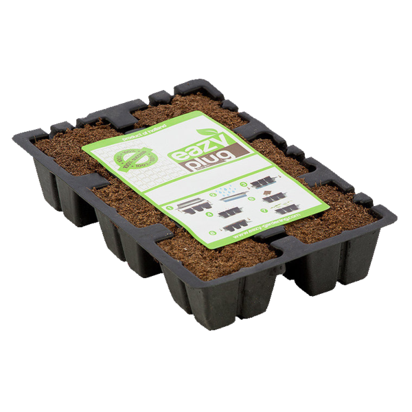 EazyPlug Plugs - Seedling / Cutting Trays with Plugs