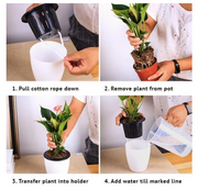 Self Watering Urban Hydroponic Pots