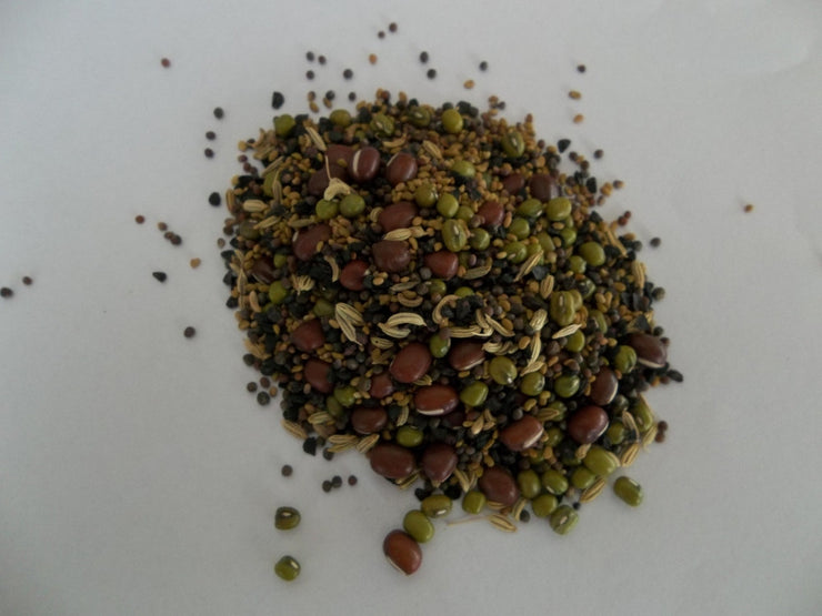 Italian Salad Mix - Sprouting Seeds