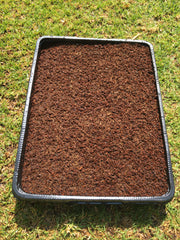Jiffy Professional Microgreen Tray with Jiffy Peat plate - 44cm x 33cm x 6cm