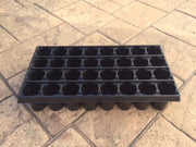 Jiffy Professional Growing Tray - 32 Cell for Large Seeds with Pellets